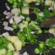 Step three: Add coriander leaves and some salt. Continue sauteing.