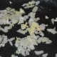 Step one: Saute crushed garlic and chopped onions in coconut oil.