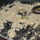 Step three: Add cardamom. Continue sauteing till you get a nice aroma of roasted poppy seeds. Turn off the stove.