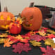 My "theme" was fall!