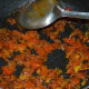The mix should start oozing oil on the edges. Add a few drops of water to keep it wet. Mix well.