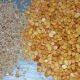 Step three: In the same pan, roast sesame seeds. Transfer it to the plate containing roasted gram dal. Once they are completely cold, pulse them in a mixer/blender to get a coarse powder.