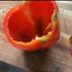 minnesota-cooking-bell-peppers-stuffed-with-frozen-lasagna