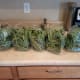 Start with a bunch of fresh green beans. I was able to do three rounds of jars with this many green beans.