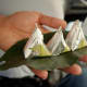 paan being served coated with silver foil