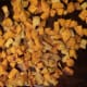 Allow the squash to cool before cutting into 1-inch cubes.