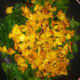 Add the squash and cook 1-2 minutes.