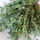 Thyme.