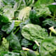 spinach