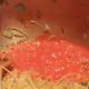 Pour in a small amount of tomato sauce.