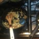 sautéed onion