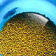 In a medium bowl, soak the mung beans for 1 hour.