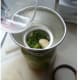 6. Fill with brine.