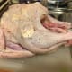 I thought using pictures of the turkey from Thanksgiving would be better to help visualize the process, since the turkey is so much bigger than the chicken.