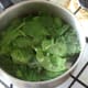 Spinach is briefly blanched in salted water