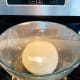 Fold the dough over a few times by hand and transfer to the greased bowl. Cover with cling wrap.