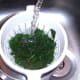 Spinach is cooled quickly under running cold water