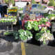 Get your fresh veggies