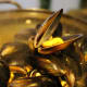 Mussels