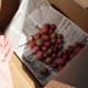 We put only the largest and middle sized potatoes in boxes, and keep the smallest handy for eating whole. Some of these shown here will go into the ground next spring.