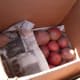 Organize potatoes according to size or type, if you wish. We had three varieties and three size divisions. Add paper between layers.