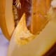 ...to cut neat wedges of golden pumpkin. Pause to admire the beautiful, golden cave all hung with roastable seeds.