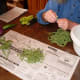 Snap the ends off the beans, and remove any strings. Break into pieces, if desired. If you like eating whole green beans, leave them whole.