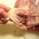 Freeing top of the leg bone.
