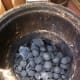 Charcoal Coals