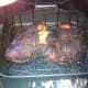 Take the pork shoulder off of the grill