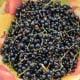 how-to-make-blackcurrant-jam