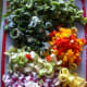 A sample of what goes into the salsa: red onion, sweet onion, banana peppers, green peppers, red peppers, orange peppers, yellow peppers, and celery