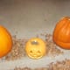 The Kids Picked out their Favorite Pumpkin at the Pumpkin Stand