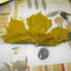 Cover the filling with the bottom of the leaf, working away from you. NOTE: Make sure that none of the filling is showing as you roll. If the filling is exposed in your finished sarma, it will fall apart during the cooking process.