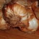 smoked garlic, wow a flavour