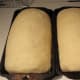 Loaves fully risen and ready for baking.