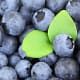 Both cultivated and wild blueberries are very nutritious.