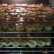 Figs baking in the oven