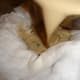 Straining infused cream