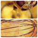 crazy-egg-pie-recipe-walk-through-pics
