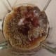 Mix the sauce for the barbacoa in a blender until it's smooth.