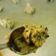 Drop 1/2 teaspoon onto baking sheet.