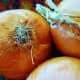 Onions