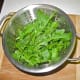 Rinse and clean fresh, tender leaves from dandelion plants.