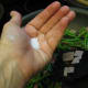 Step 7: Add 1 teaspoon of garlic salt.