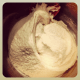add ingredients to form dough