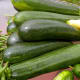Even a few plants can produce a load of vegetables.