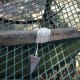 Make your own crabbing line.