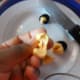 The area of the fruit where the seed was attached needs to be removed.