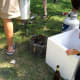 A batch of live lobsters right out of the Styrofoam packing box and into the steamer.